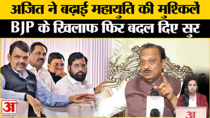 Maharashtra Assembly Election 2024: Ajit Pawar reiterates on 'If we divide we will cut', Mahayuti upset