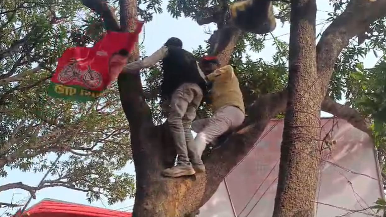 Prayagraj: Akhilesh's meeting was held in Bandaria Bagh, supporters climbed tents and trees
