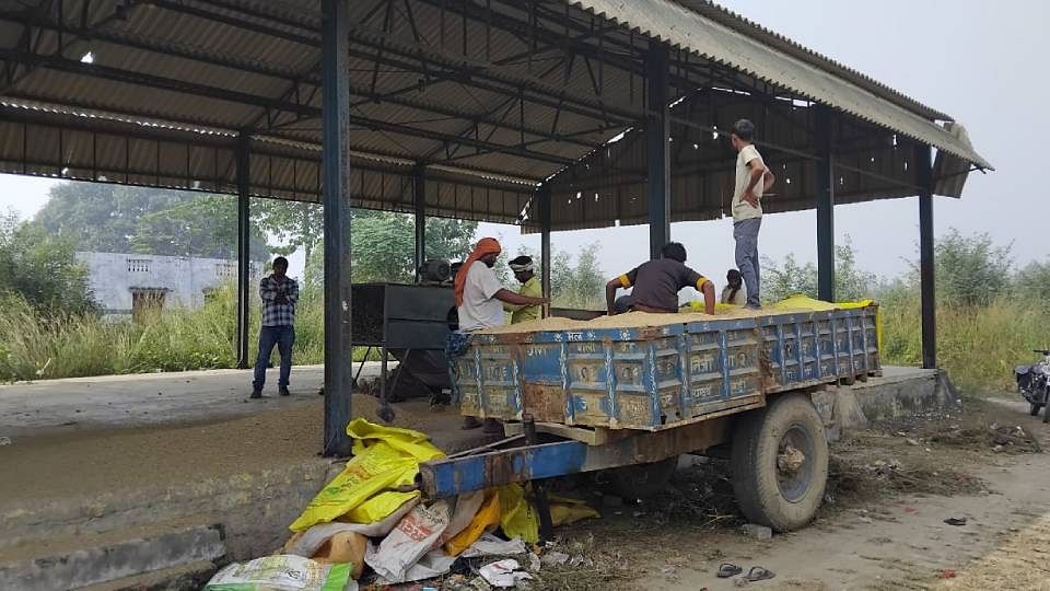 Purchase stuck in verification in Gonda farmers forced to sell paddy to middlemen