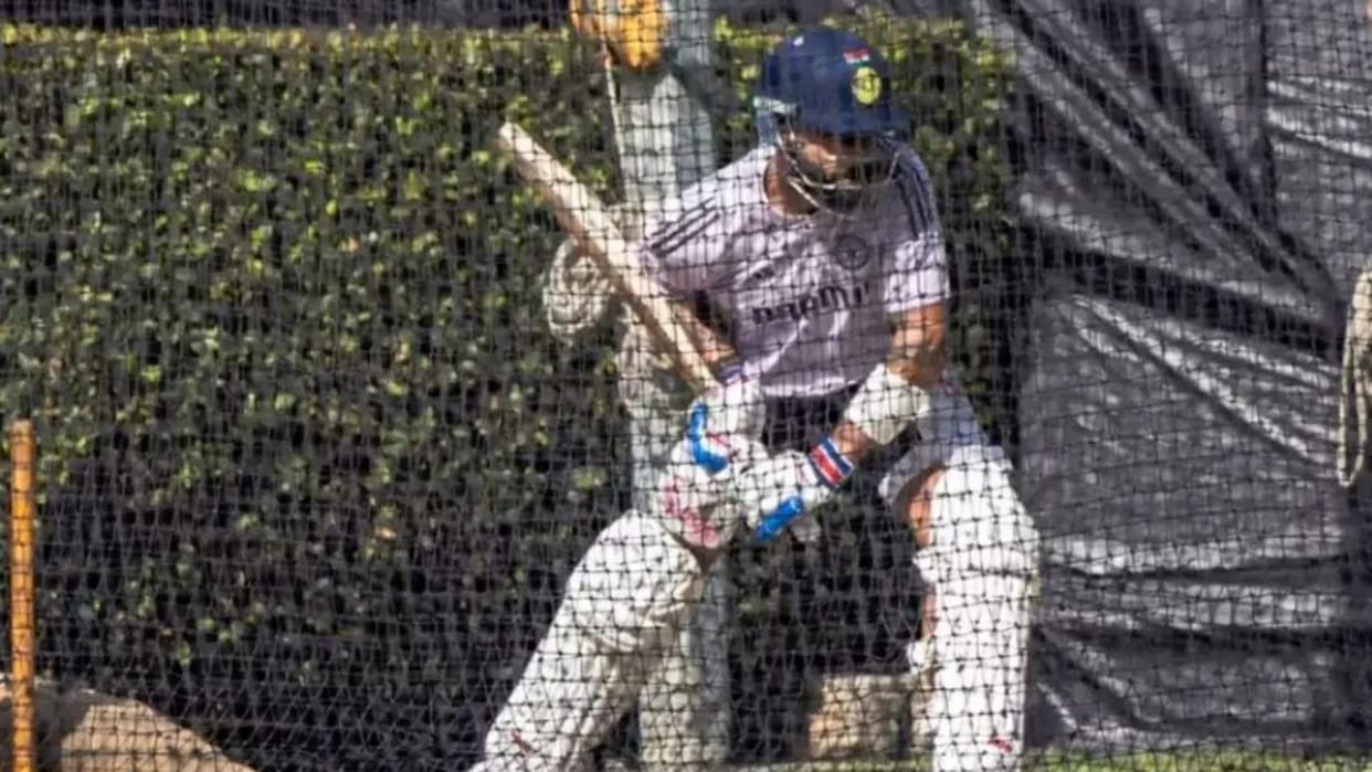 IND vs AUS: Fan climbs tree to get a glimpse of Virat Kohli, funny video of practice session goes viral, watch