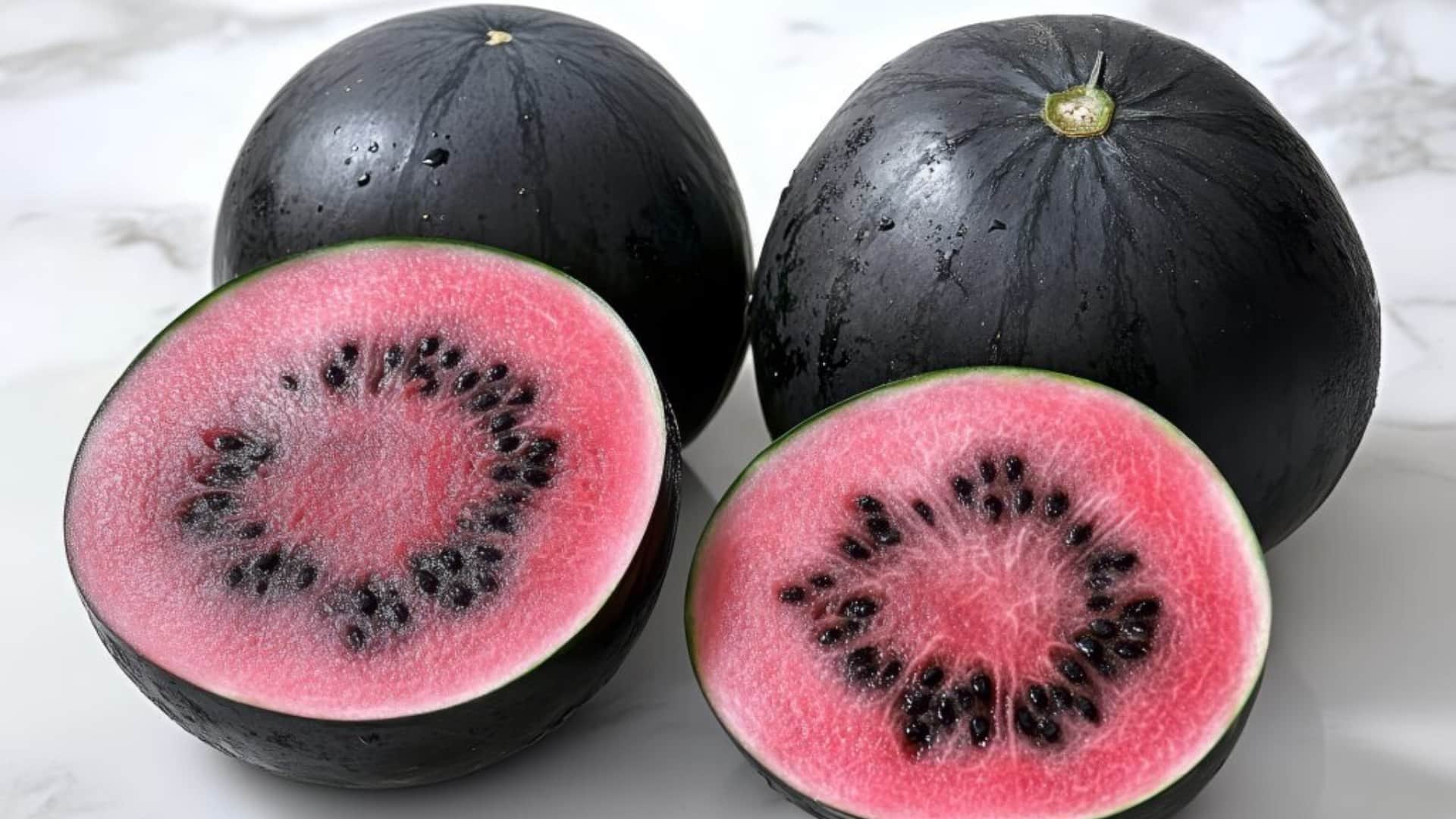 world's most rare and expensive densuke black watermelon The Reason Densuke Watermelons Are So Expensive
