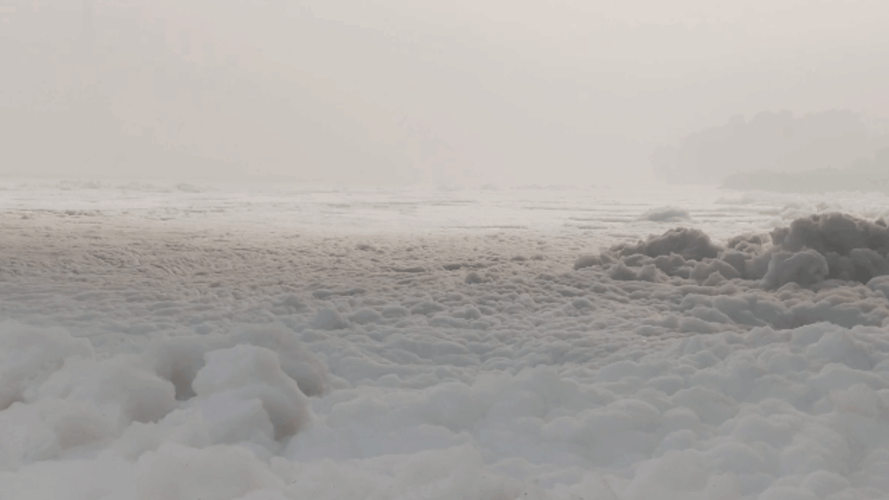 Due to high pollution level in Yamuna river in Noida  toxic foam continuously formed