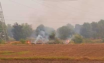 Haryana: सूक्ष्म जीव से निकलेगा पराली की समस्या का समाधान, लिग्निन को तोड़ने वालों की पहचान के लिए कर रहे शोध problem of stubble will be solved by microbes In Haryana