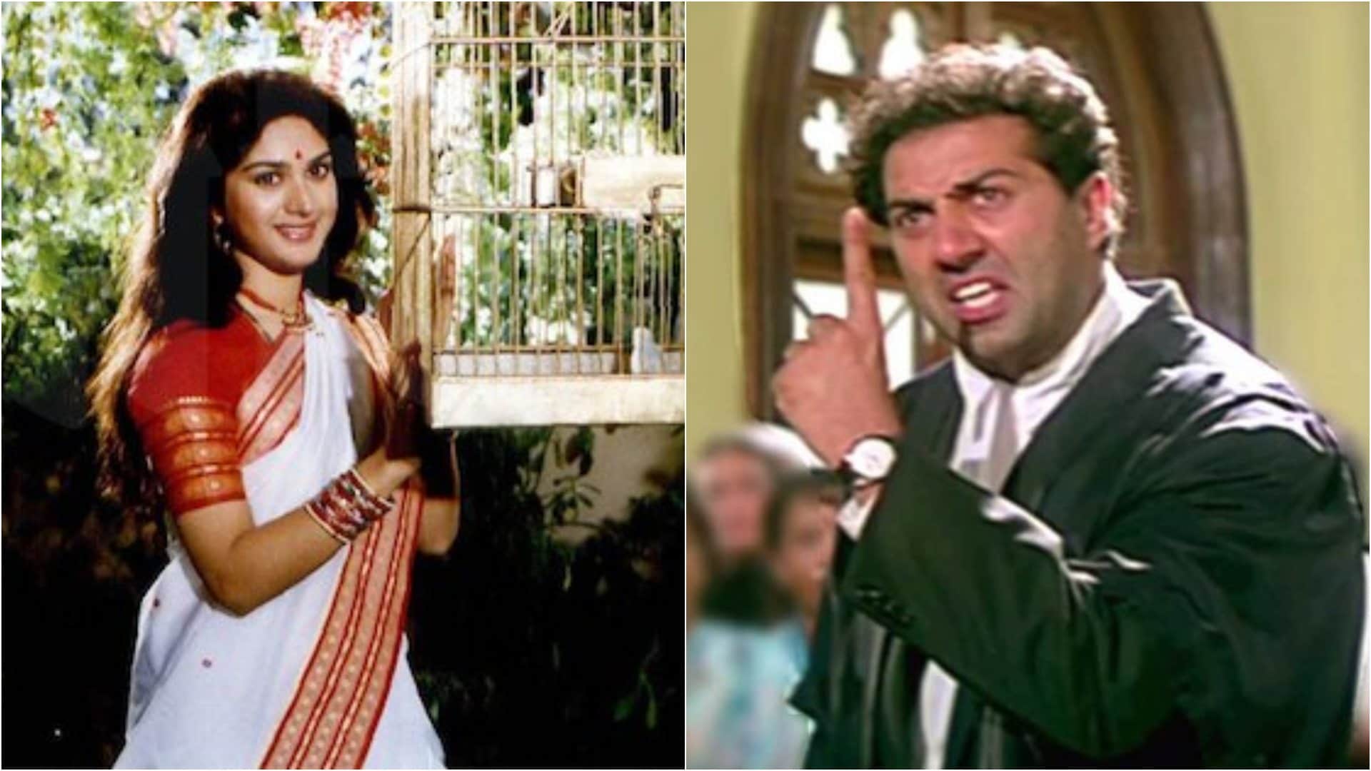 Meenakshi Seshadri Birthday: Know About Damini Movie fame actress career movies life story and Love Life