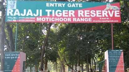 Rajaji Tiger Reserve Chilla range jungle safari craze by booking online has increased Haridwar Uttarakhand