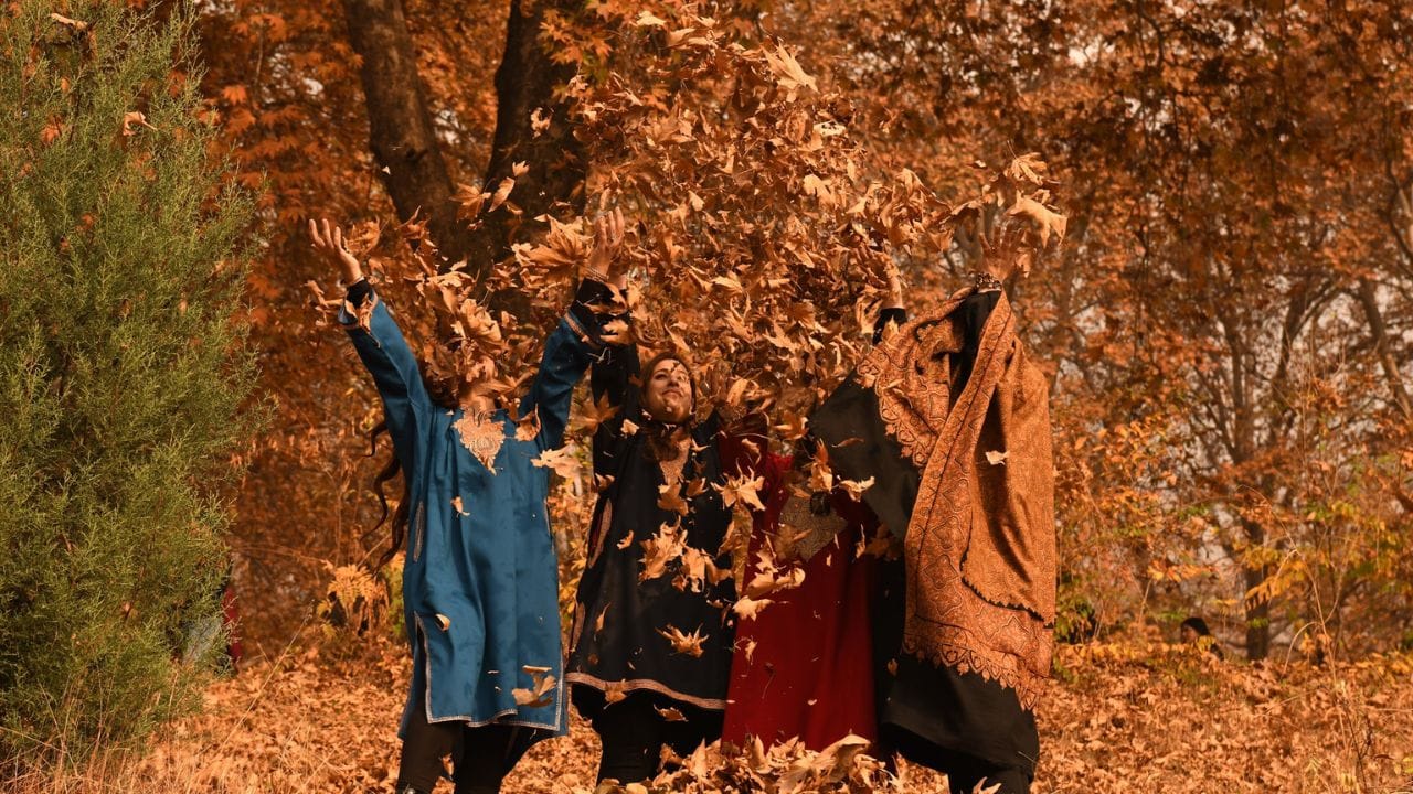 Jammu Kashmir: Beauty of autumn in Srinagar, people enjoying among the autumn leaves