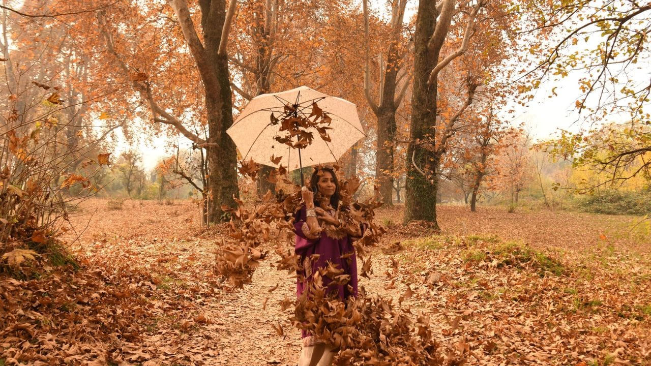 Jammu Kashmir: Beauty of autumn in Srinagar, people enjoying among the autumn leaves