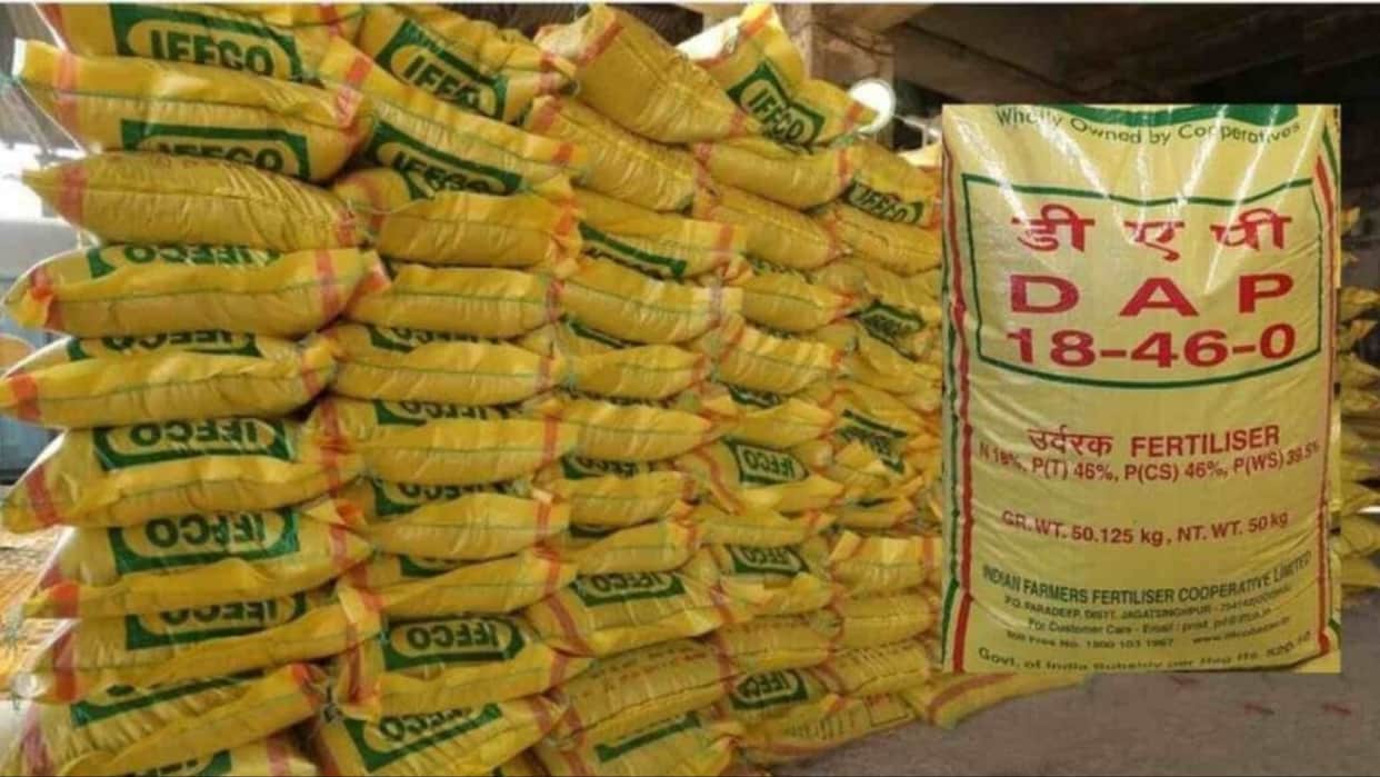 Fight for DAP fertilizer farmers standing in line for hours Still returning empty handed