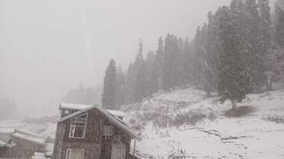 Snowfall in the mountains brings down temperatures, cold wave sweeps across North India