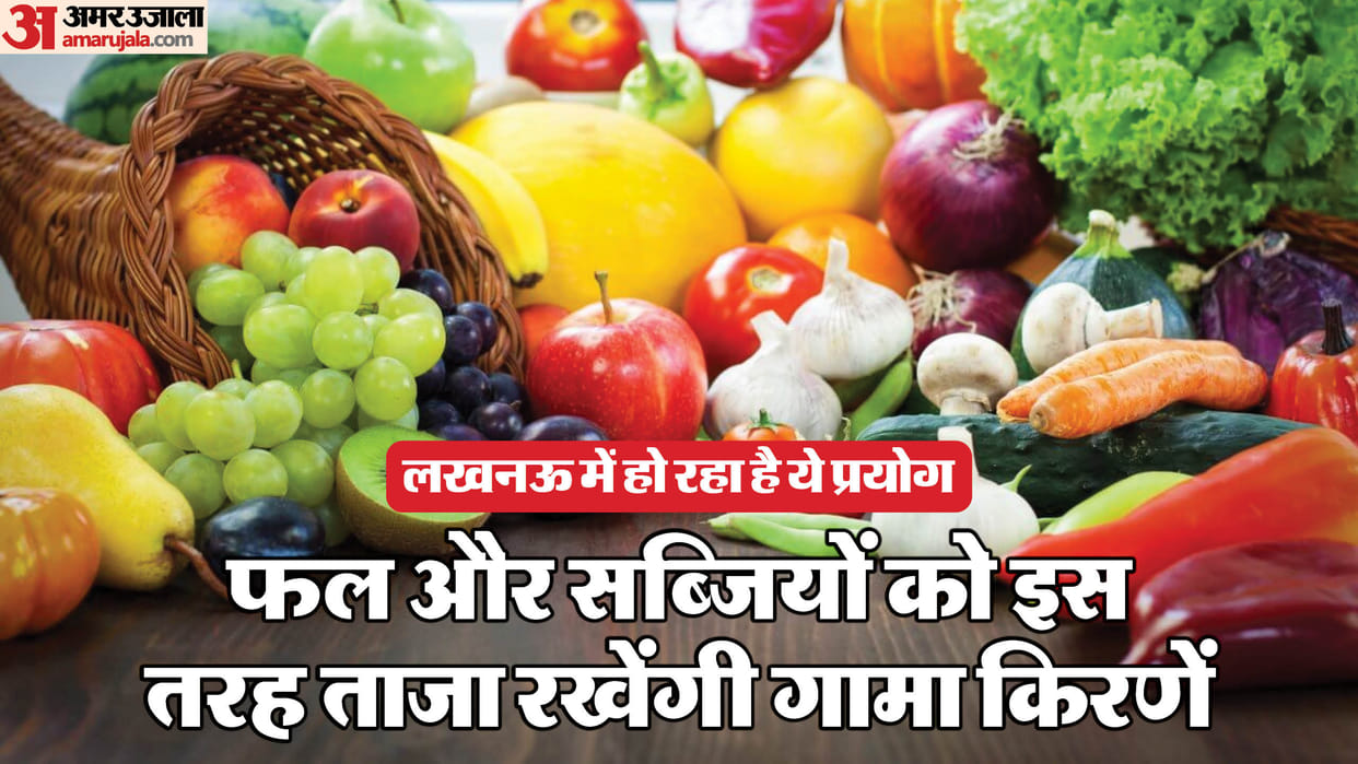 Uttar Pradesh to get Gamma Radiation Plants to keep Fruits and Vegetable fresh longer UP News in Hindi