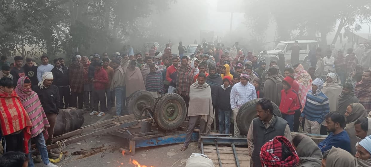 Roorkee Accident News Truck Hits Buffalo Bogie in Khanpur One Killed on Spot