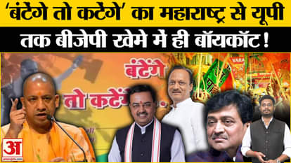 Maharashtra Election 2024: 'If we divide, we will be cut', NDA leaders from Maharashtra to UP shunned it!