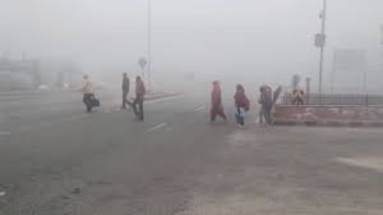 Rajasthan News: Driving became difficult due to fog, Meteorological Department issued warning for highways
