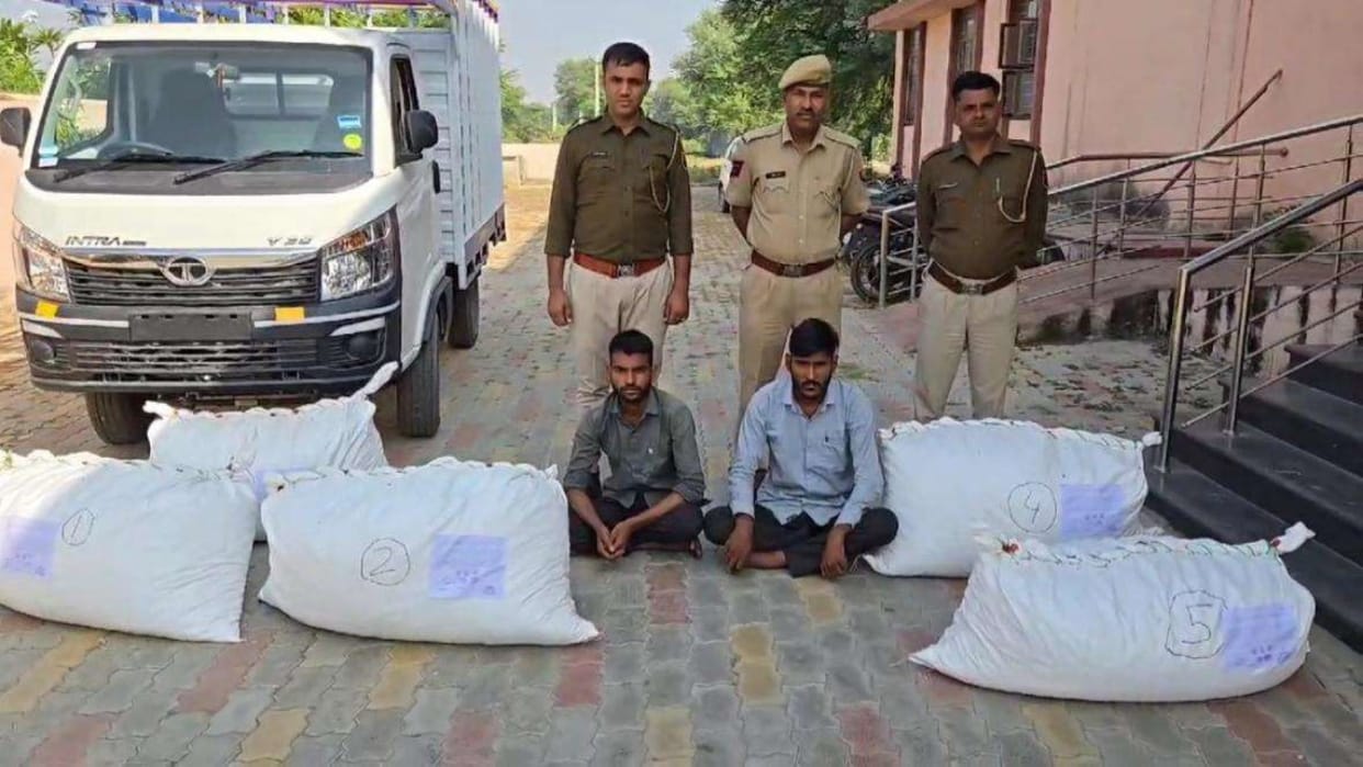 Bhilwara News: Big action by Mangrop Police, two smugglers arrested along with Doda sawdust worth 21 lakh