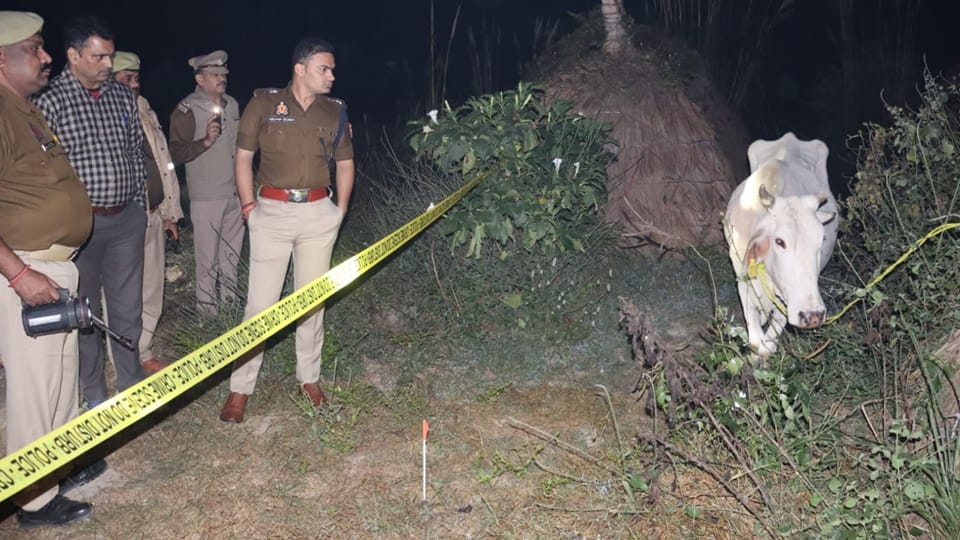 Sambhal Encounter: Gajraj accused of cow smuggling, was shot in leg, was caught after getting injured