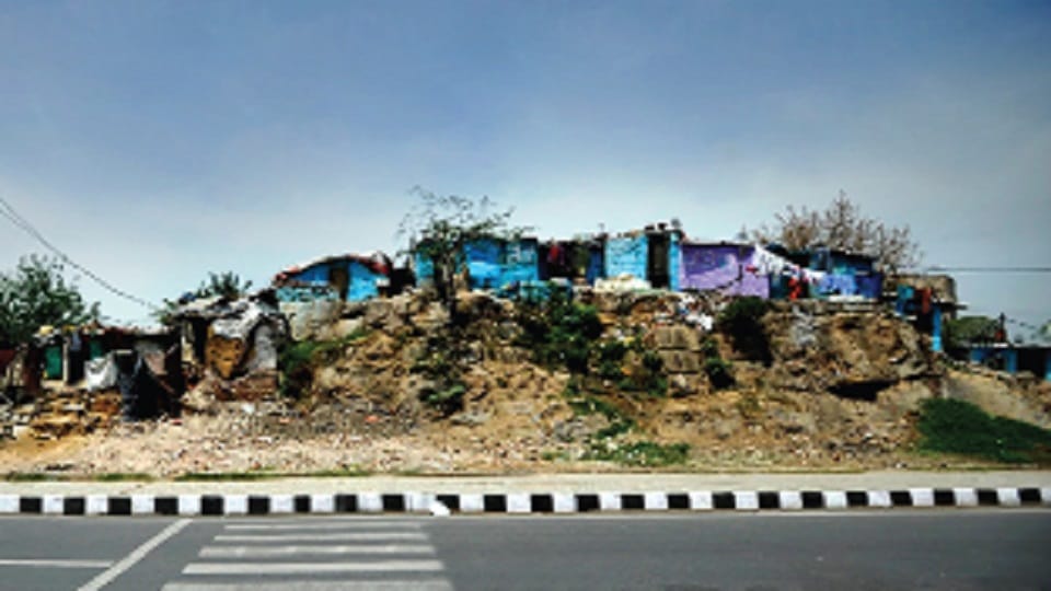 Threat to the ecosystem of South Delhi