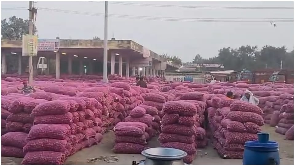 Alwar News: Arrival of onion increased in the market farmers are getting good prices