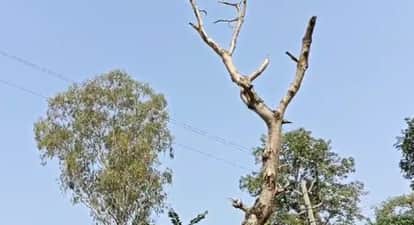 Farrukhabad Laborer dies after hit by high tension line accident occurred while unloading gravel from truck
