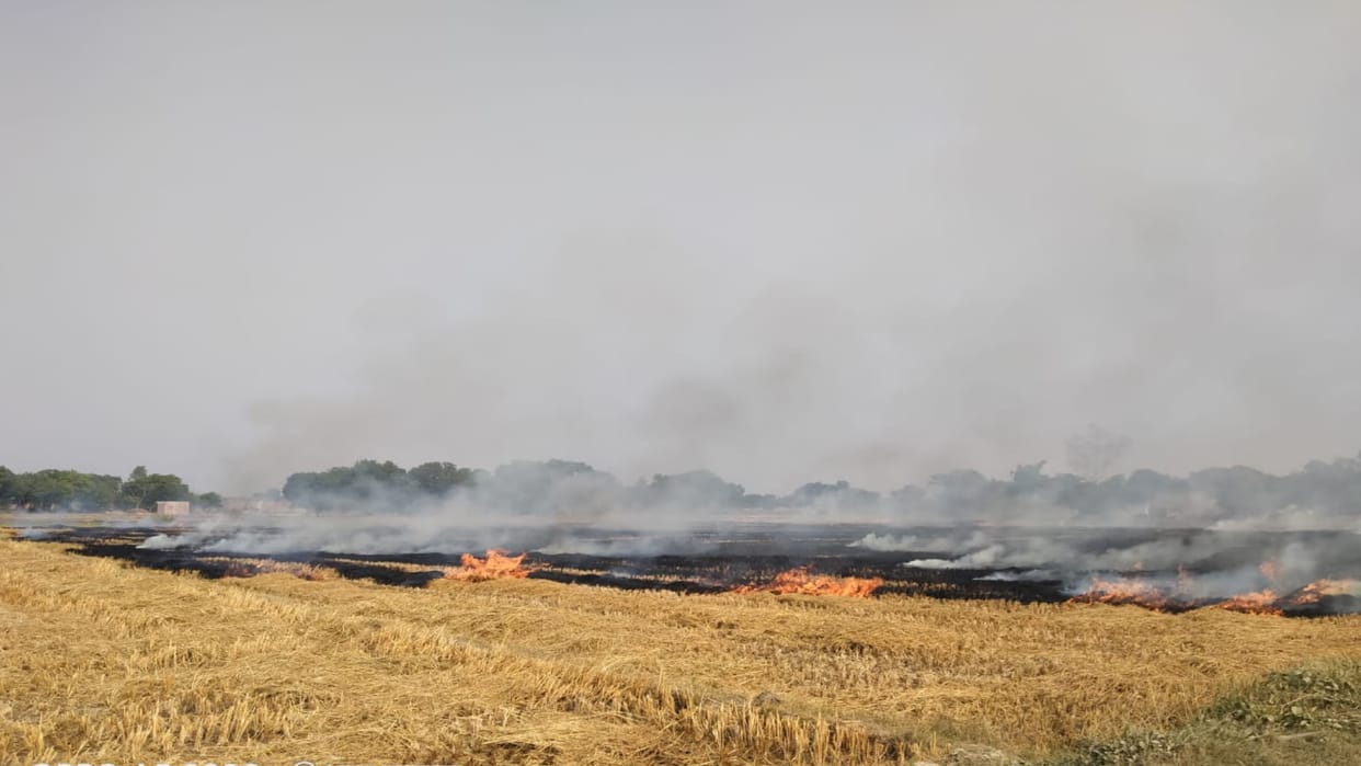 First time in season stubble burning occurred at 122 places in Punjab