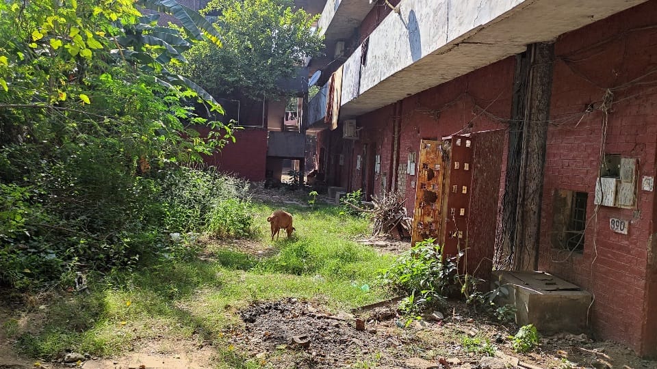 Houses in Sector-20 ruins chandigarh Administration chandigarh Municipal Corporation