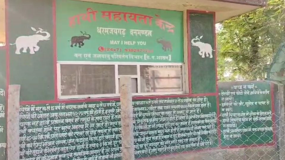 Elephant cub skeleton found in Raigarh