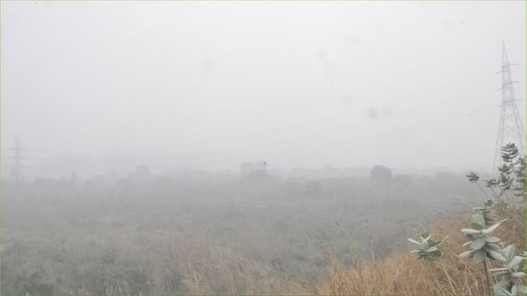 गैस चैंबर बना हरियाणा : बहादुरगढ़ और भिवानी में एक्यूआई पहली बार 400 पार, चार जिलों में 5वीं तक स्कूल बंद