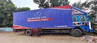 Kekri News: Police seized container filled with 77 cows 19 died