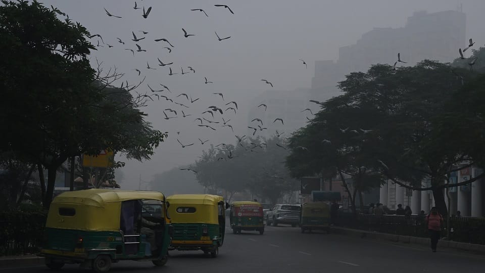 human body cannot fight pollution it enters bloodstream through lungs affecting organs