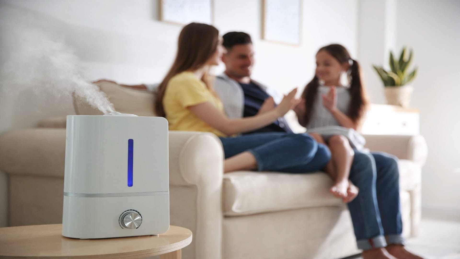 DIY Hacks: How To Make Air Purifier At Home Know Step By Step Process