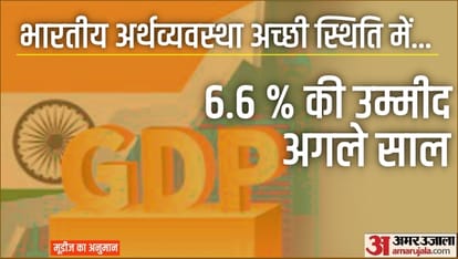 Top News Headline Today Important And Big News Stories Of 19 November 2024 Updates On Amar Ujala