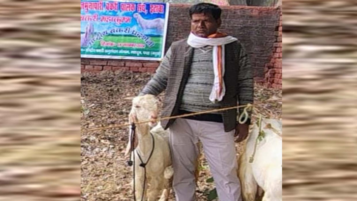 Goat from Etawah won the beauty award, the competition was held in Mathura