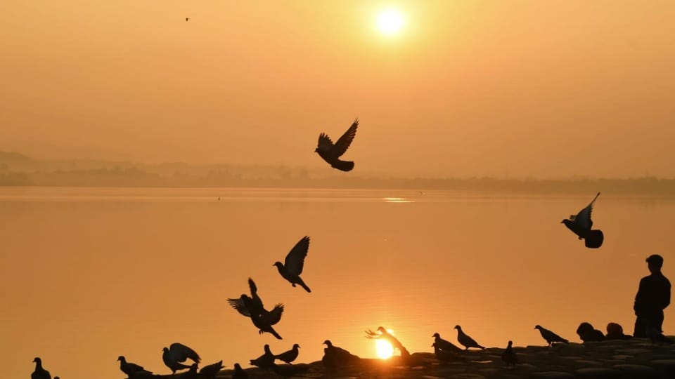 Chandigarh Weather Update aqi level