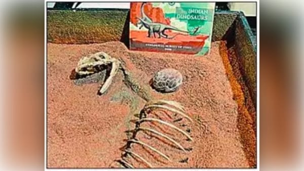 Dinosaur eggs become center of attraction in trade fair in Delhi