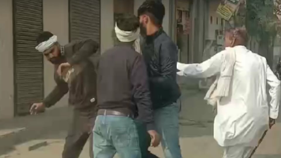 Animals freed from possession of corporation employees in Hisar