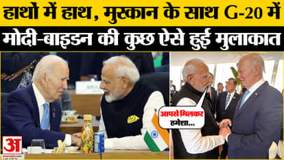 PM Modi Brazil Visit: Modi and Joe Biden meet in G-20, what happened? , G20 Summit