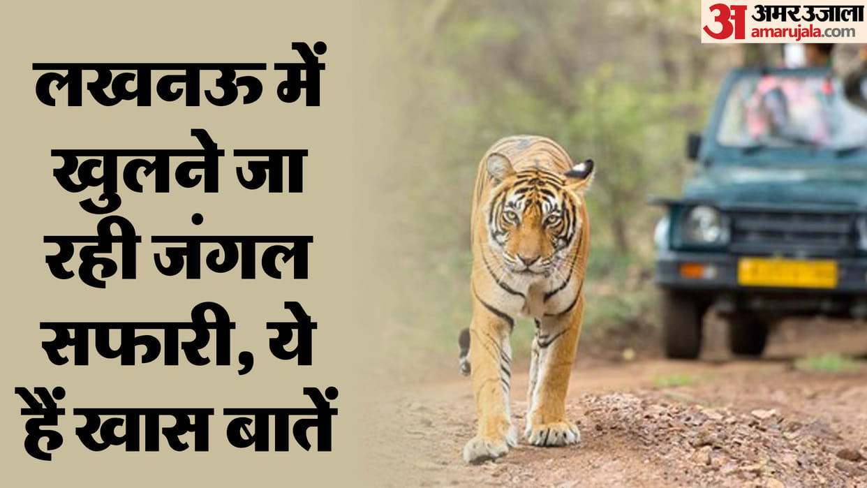 UP: Country's first night safari will be built in Lucknow, will expand in 900 acres, these features will attra