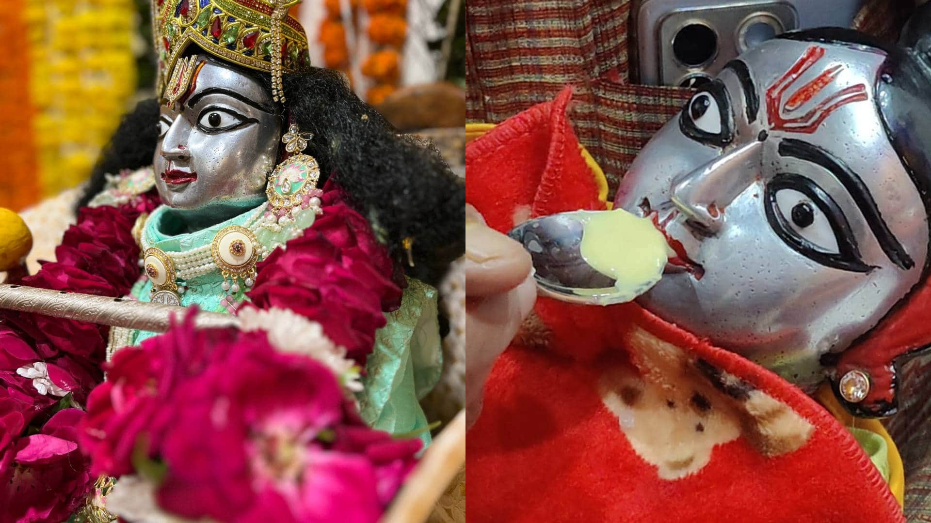 Laddu Gopal Devotees gathered Ujjain get glimpse of Seoni Ladle Sarkar also doing daily activities like humans