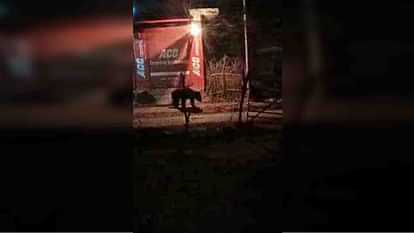 Sawai Madhopur: Fear of bears in populated area, villagers troubled