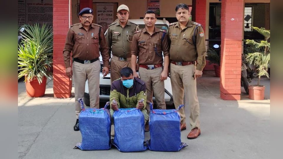Dehradun News Member of Sapera gang carrying 60 kgs of ganja from UP arrested During police station