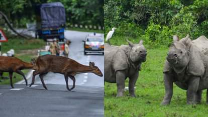 काजीरंगा नेशनल पार्क में निर्माण पर 'सुप्रीम' निर्देश