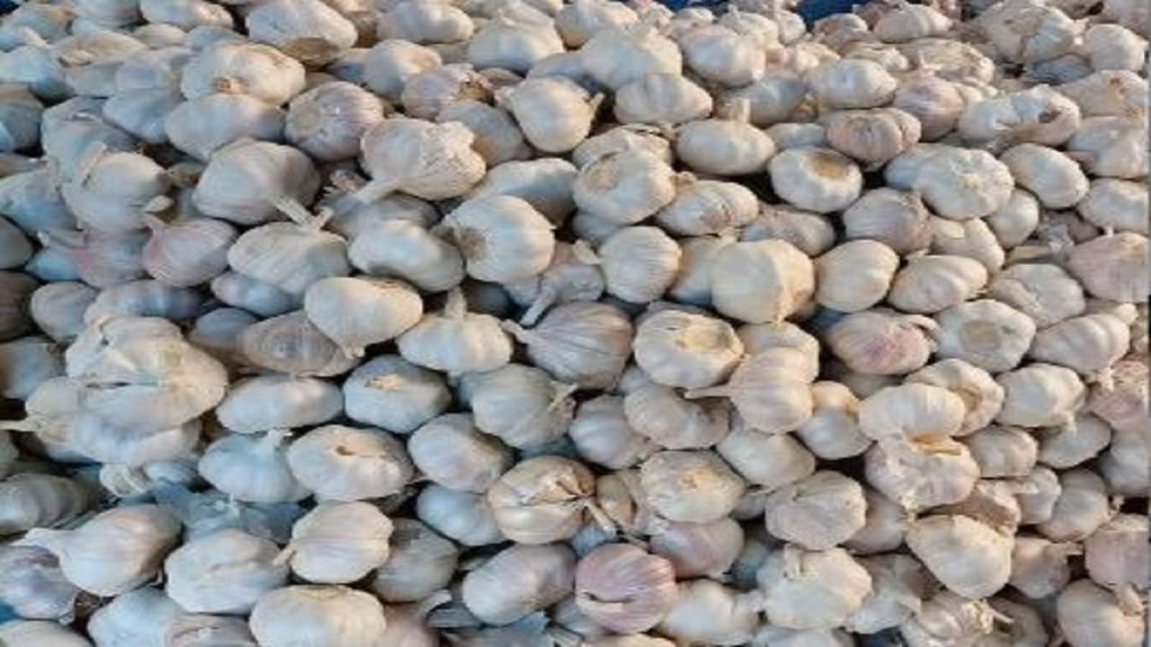 Do these remedies with garlic before sleeping at night Lahsun ke Upay in hindi