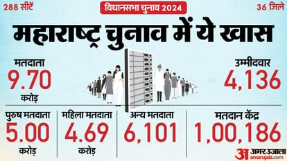 Maharashtra Assembly Election district wise Voting 2024 vs 2019 news in hindi