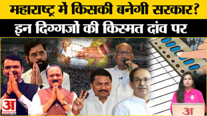 Maharashtra Election: Who will become the juggernaut of politics? The fate of these veterans will be decided t