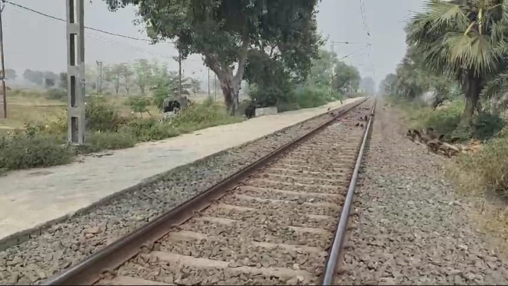 Nalanda: Elderly woman lying on track after covered head, body parts cut by train scattered on tracks-platform