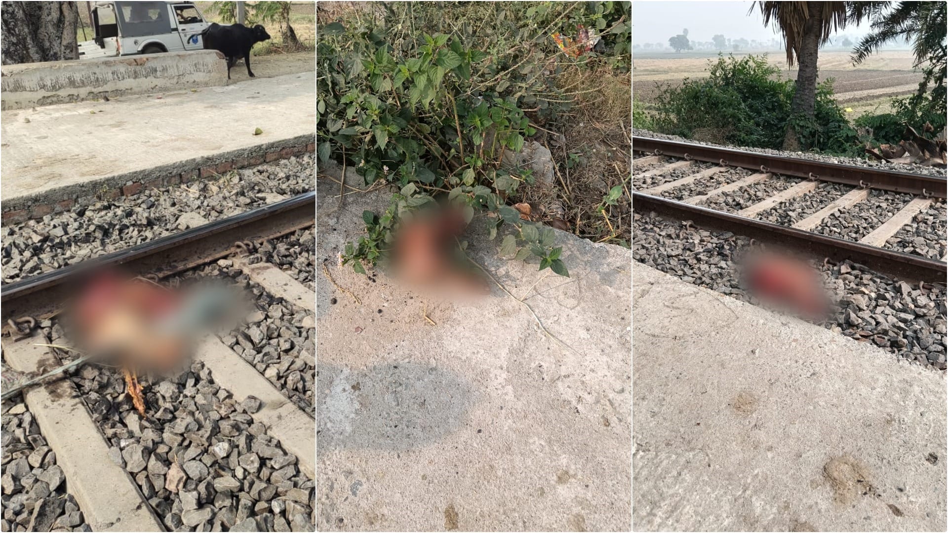 Nalanda: Elderly woman lying on track after covered head, body parts cut by train scattered on tracks-platform