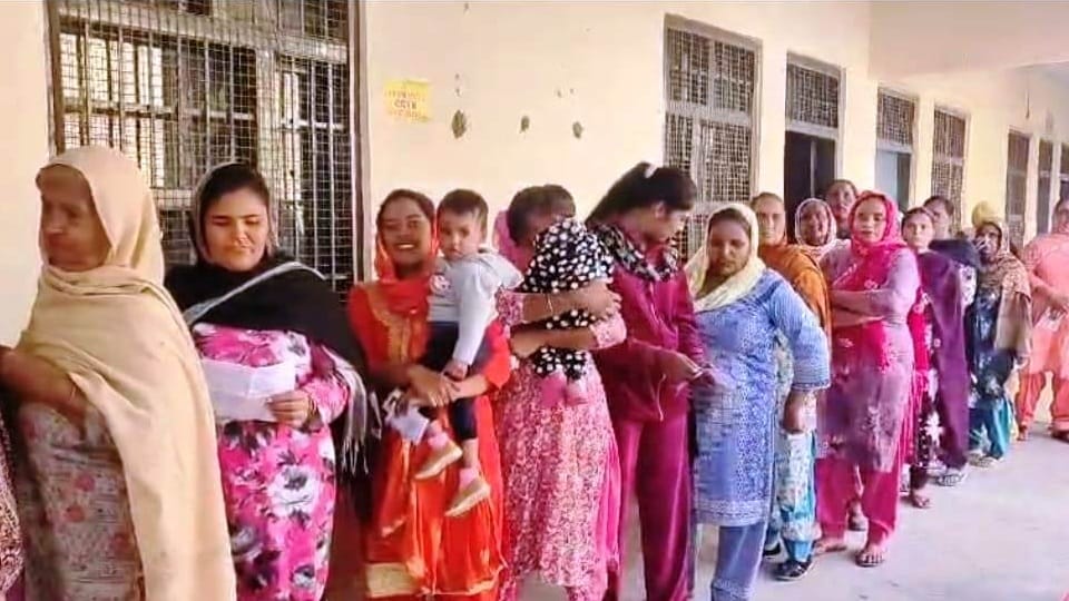 By election for four seats total 63 percent voting result on 23 November