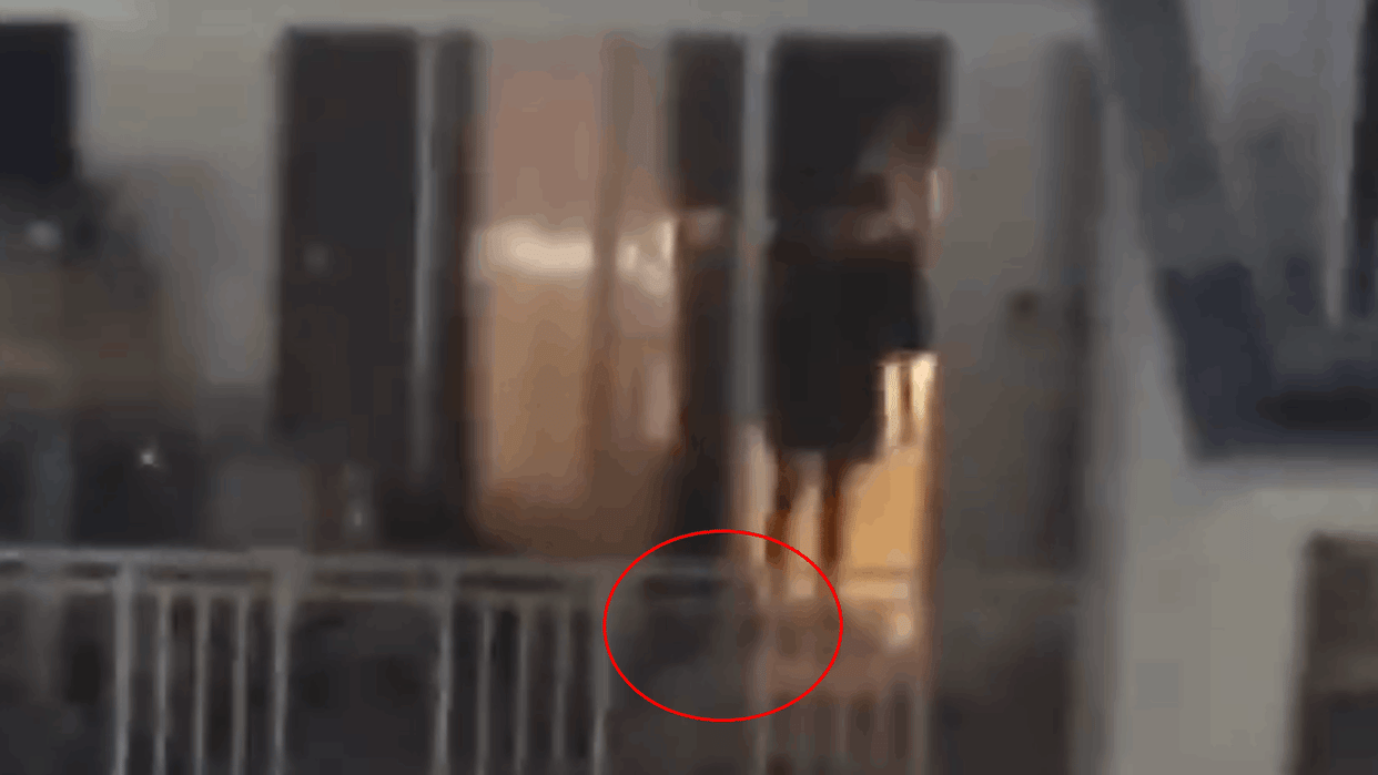 Video beating pet dog in Greater Noida Mahagun Mantra Society goes viral