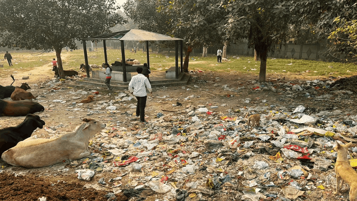 Villagers of historic Palam village are not getting basic facilities