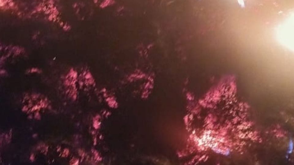 Anarchist elements set fire to a Sadhu hut in Mainpuri