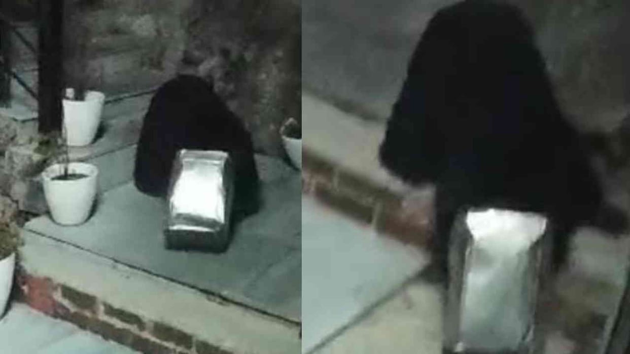 Bear head got stuck in a canister while looking for food forest workers freed it Jyotirmath Chamoli News